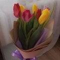 Не рекомендую