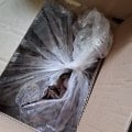 В ядекс доставке по России воруют. Нр пользуйтесь.