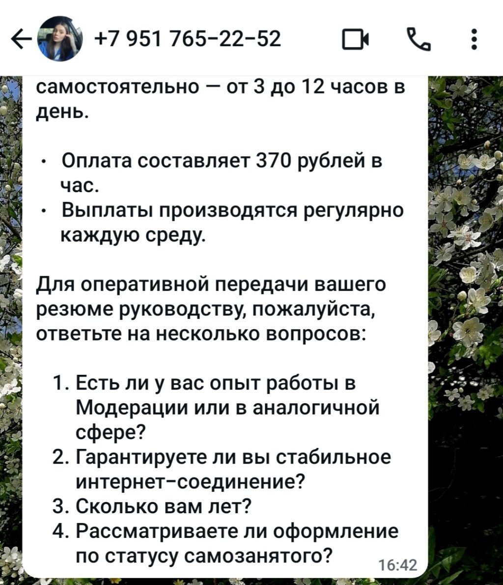 megablacklist - Компания Вектор развития. Вакансия модератор. Мошенники под видом трудоустройства.