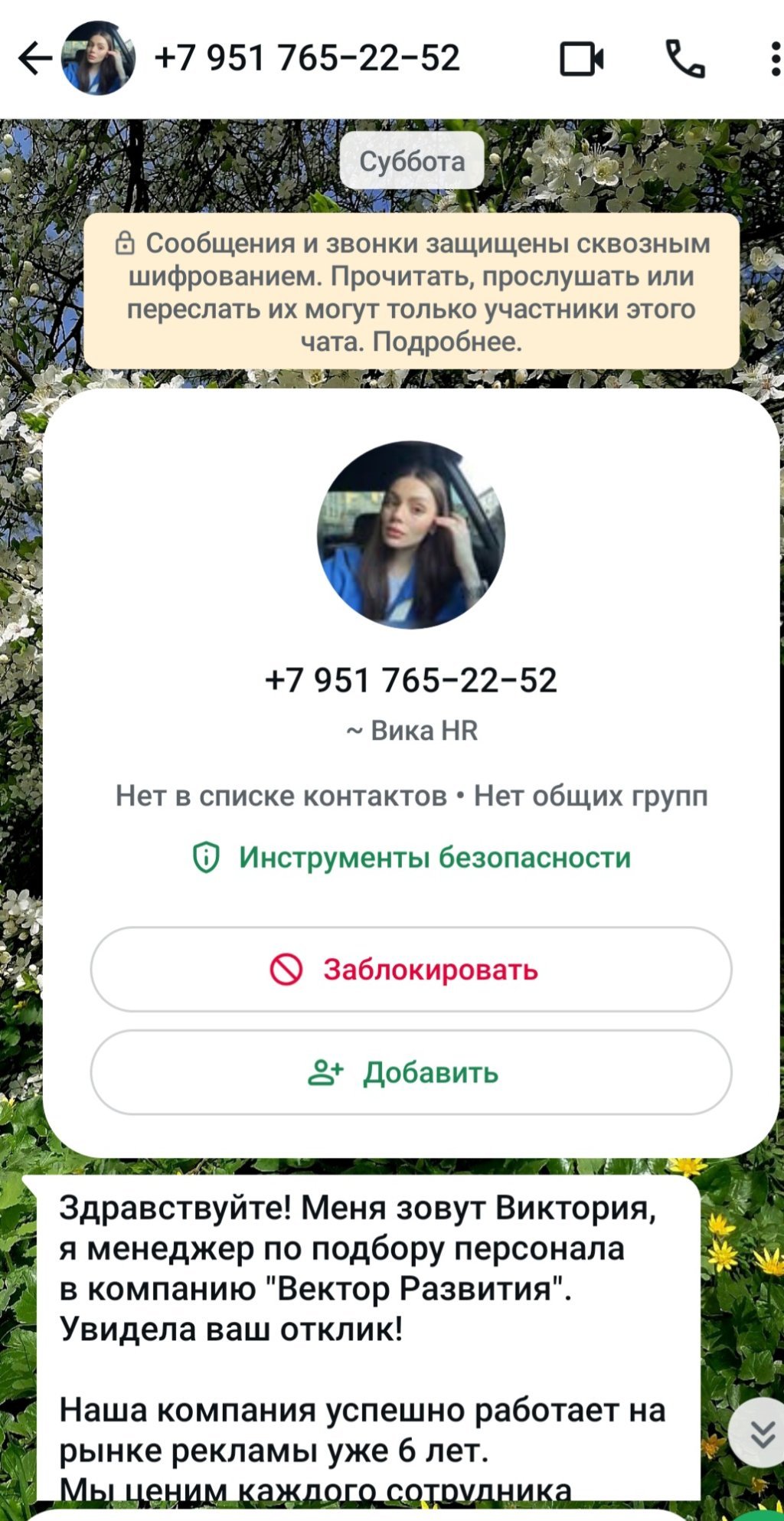 megablacklist - Компания Вектор развития. Вакансия модератор. Мошенники под видом трудоустройства.