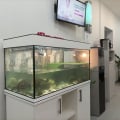Хорошее лечение за адекватную стоимость