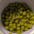 Удалили мой отзыв, но мне не сложно, я напишу еще