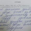 Профессионалы