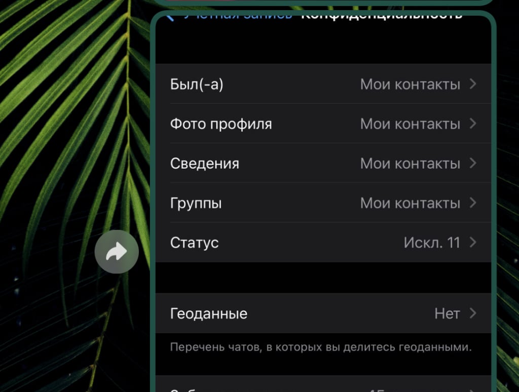 WhatsApp - служба поддержки бесполезная