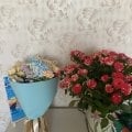 Отзыв о Битва экстрасенсов: Ложь Олега шепса