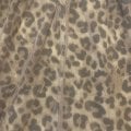 Отзыв о Магазин одежды для женщин "Defile plus size": Мошенники!