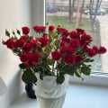 11 кустовых роз - супер)))
