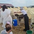 Замечательное место для посещения с детьми