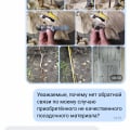 Ужасные саженцы