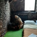 Заказал одно, получил другое.