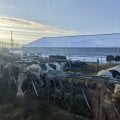 Отзыв о ЭкоНива экскурсии: Экскурсия впечатлила