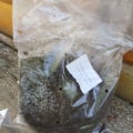 Отзыв о МойСадовод: Клубника фриго. Получила в ужасном состоянии. Гнилые перепревшие, без малейших признаков жизни.