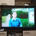 Отзыв о Europe-tv.ru: Надежный магазин телевизоров