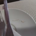 Глисты в куске шашлыка