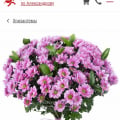 Не рекомендую