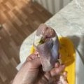 Отзыв о Петелинка: Феле -бедра без кожи