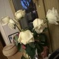Отзыв о Служба доставки цветов SFLowers: Больше никогда в SFLowers!!!