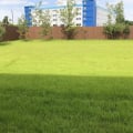 Рекомендую!