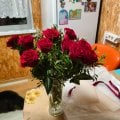 Отзыв о Flor2u.ru: Заказ 5443466