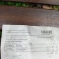 Отзыв о Интернет-магазин Русский огород: Розы от Русского огорода