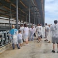 Замечательное место для посещения с детьми