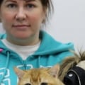 Мошенница заводчица кошек Светлана Загуменнова Загуменова
