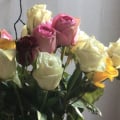 Испортили настроение.