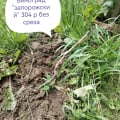 саженцы этого магазина