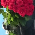 Отличное качество обслуживания!