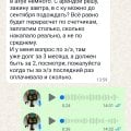 Осторожно! Семья вандалов!