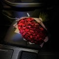Отзыв о venikoff.net: Благодарность!