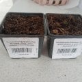 Отзыв о Интернет-магазин agro-market24.ru: Не рекомендую