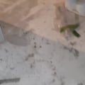 Доверять нельзя. Ужасное качество и обман.