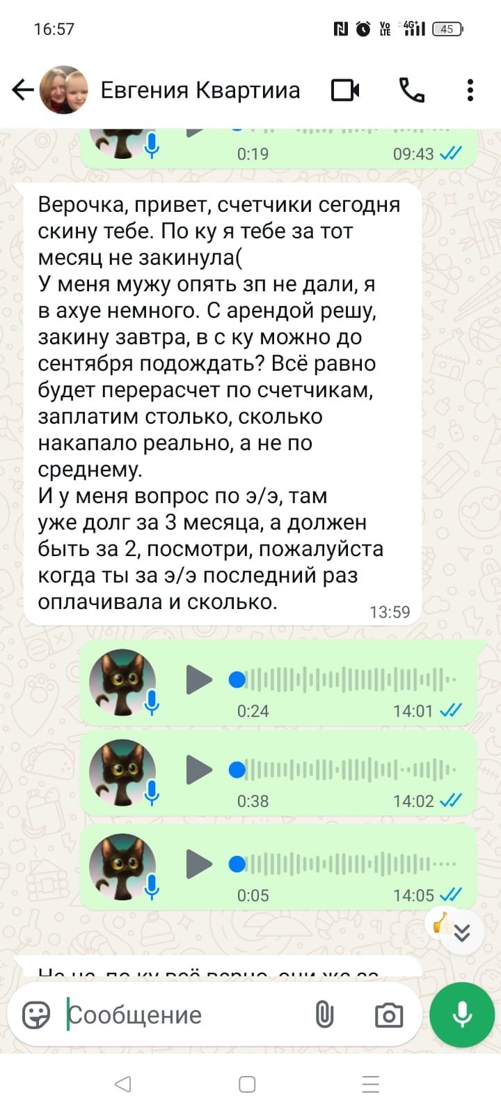 О недобросовестных арендаторах - Осторожно! Семья вандалов!