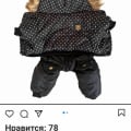 https://instagram.com/pet_friendly_shop?igshid=11qdjh5tyxw