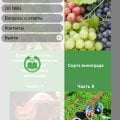 Хорошее онлайн обучение