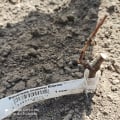 ужасное качество