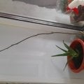 Отзыв о Интернет-магазин agro-market24.ru: Плохой магазин