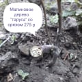 саженцы этого магазина