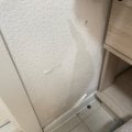ПЕТРОСЯН РОМАН МИХАЙЛОВИЧ