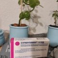 После суперлимфа – долгожданная беременность!