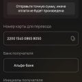 Отзыв о vegas-x-mirror2.online: Реквизиты этих мошенников