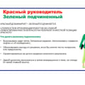 Обучение по программе Управленец
