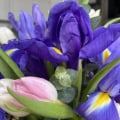 Отзыв о Studio Floristic: Букет позорный