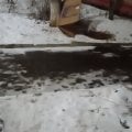 ООО"Эдил- импорт" мошенники!