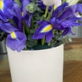 Отзыв о Studio Floristic: Букет позорный