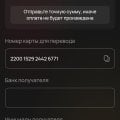 Отзыв о vegas-x-mirror2.online: Реквизиты этих мошенников