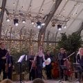 Прекрасная музыка Вивальди