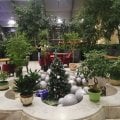 Отзыв о REDEVENTS креативная компания: Мир Аниме. Геншин и Хисаиcи. В Оранжереи ВДНХ