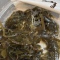 Отзыв о Русское море: Ужас ! Никому не рекомендую , перекус мог обернуться травмой организма